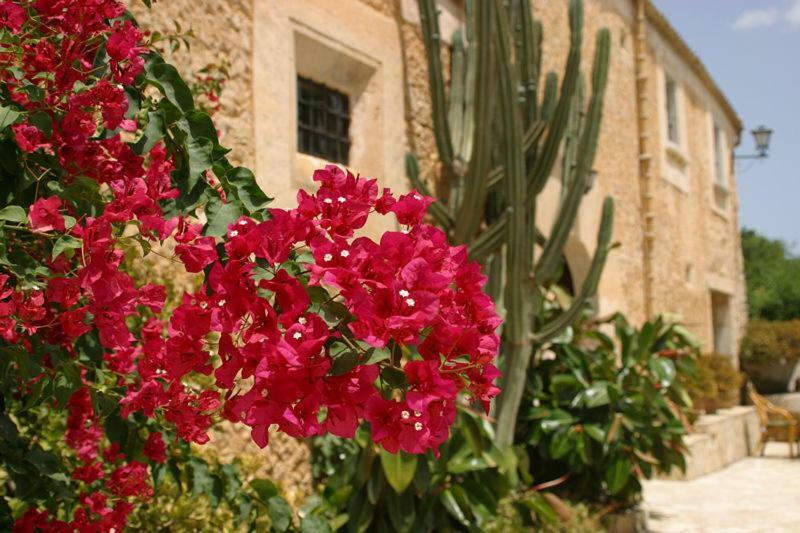 Agroturismo Can Guillo Villa Pollenca Exterior photo